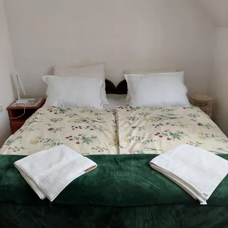 게스트하우스 Balint Vendeghaz 미슈콜츠