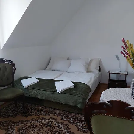 게스트하우스 Balint Vendeghaz 미슈콜츠