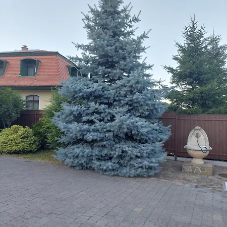 Balint Vendeghaz Гостевой дом 3*