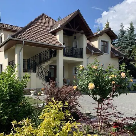 Balint Villa Vendeghaz Maison d'hôtes