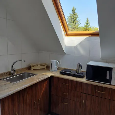 Balint Vendeghaz 미슈콜츠